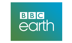 Digiturk İnternetli Eğlencenin ve Avrupanın Yıldızı kanal4